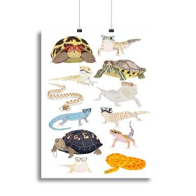 12 Reptiles In Glasses Canvas Print or Poster (Type: Standard Framed Canvas Print, size: 16" x 12" / 42cm x 30cm approx)